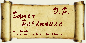 Damir Pelinović vizit kartica